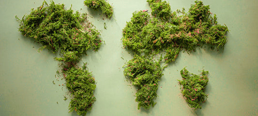 Ένα βήμα προς την περιβαλλοντική αειφορία