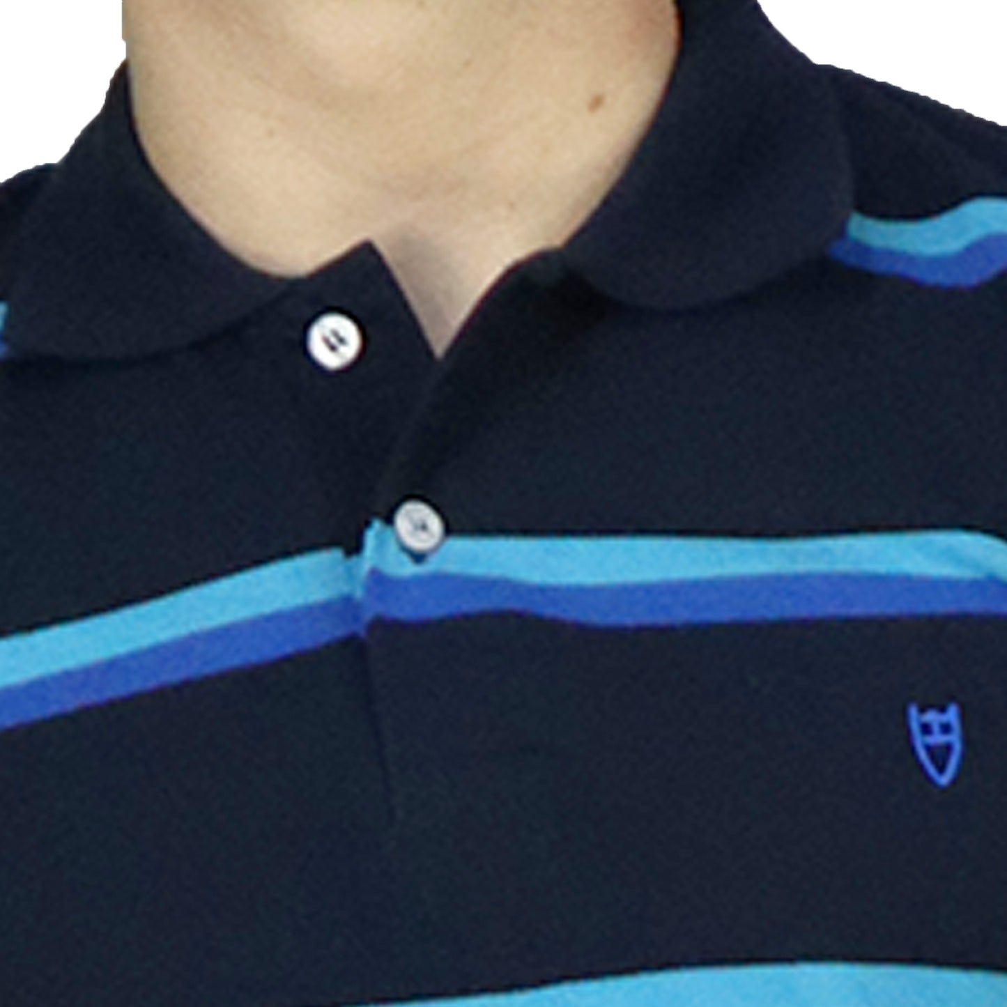 Men's Blue Striped Cotton Polo ART 1000 STRIPED POLO