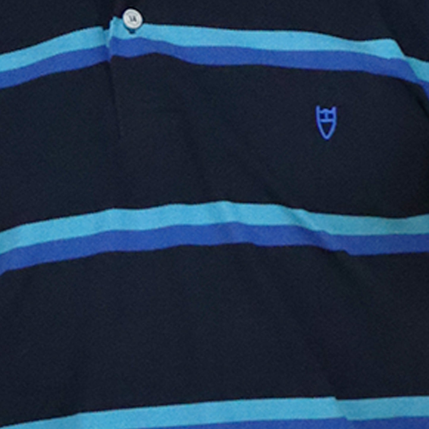 Men's Blue Striped Cotton Polo ART 1000 STRIPED POLO